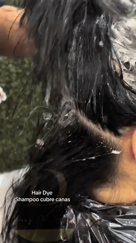 SHAMPOO PINTA CANAS FLOWER SECRET 400 ML